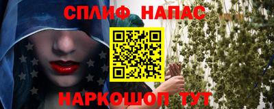 стафф Бийск