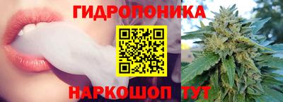 стафф Бийск